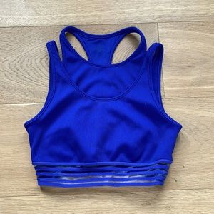 ALO Small Blue Sports Bra